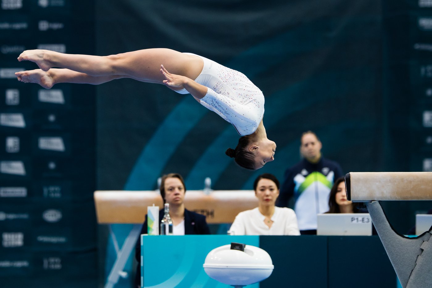 Gimnastična zveza Slovenije