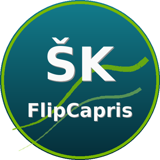 Športni klub FlipCapris (Gimnastično plesna skupina)