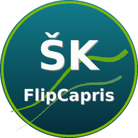 Športni klub FlipCapris (Gimnastično plesna skupina)